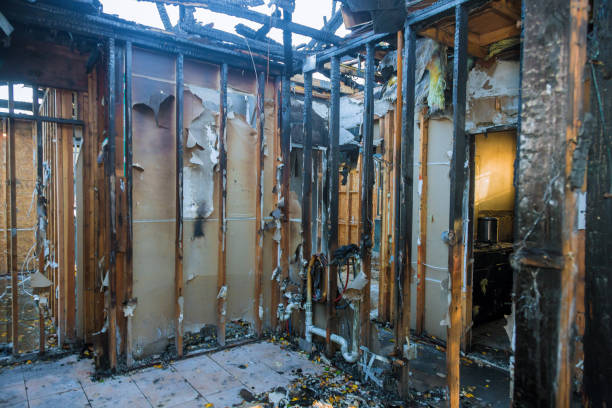 Professional Fire Damage Removal technician working in Saint Croix Falls, WI